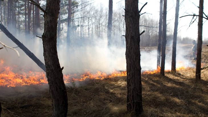 В Томской области начался пожароопасный сезон В Томской области начался пожароопасный сезон