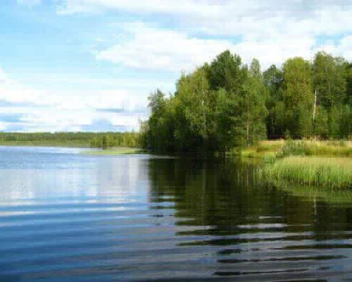 В Томской области усилят патрулирование водоемов В Томской области усилят патрулирование водоемов