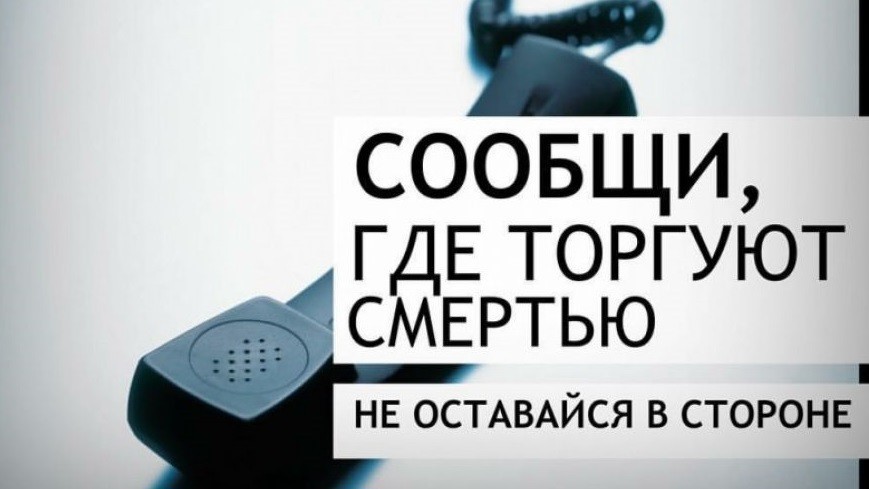 В регионе объявлена антинаркотическая акция «Сообщи, где торгуют смертью» В регионе объявлена антинаркотическая акция «Сообщи, где торгуют смертью»