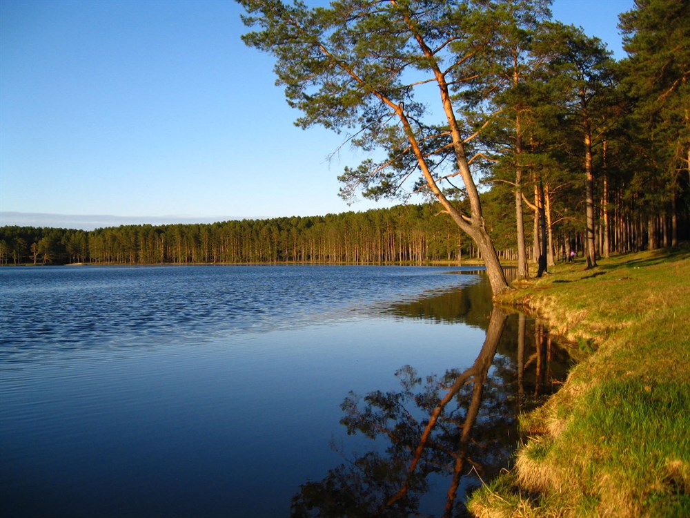 О результатах исследования воды открытых водоемов ЗАТО Северск О результатах исследования воды открытых водоемов ЗАТО Северск